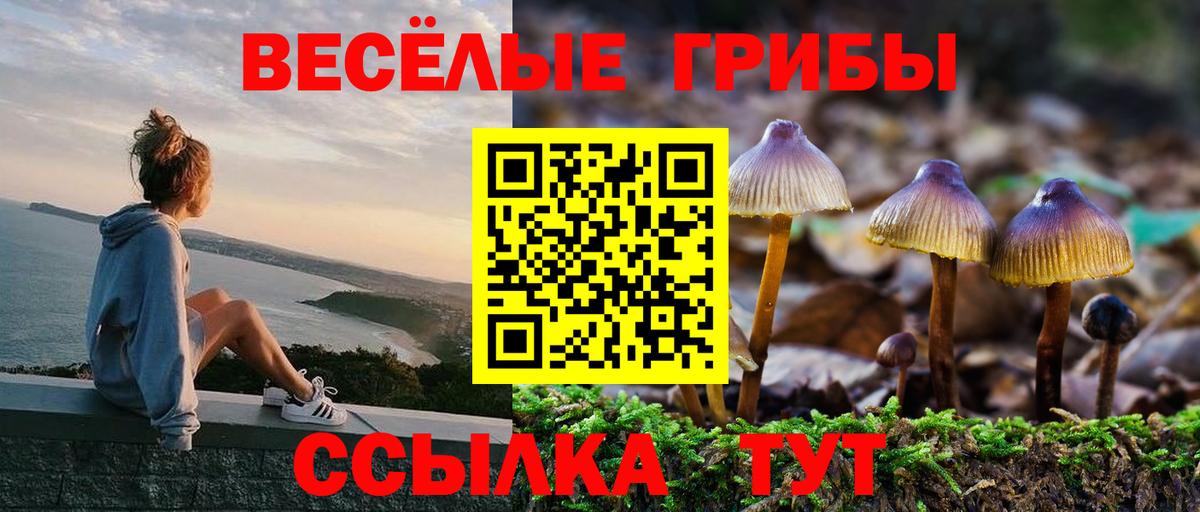 Киреевск  Псилоцибиновые грибы MAGIC MUSHROOMS  Вход с VPN 