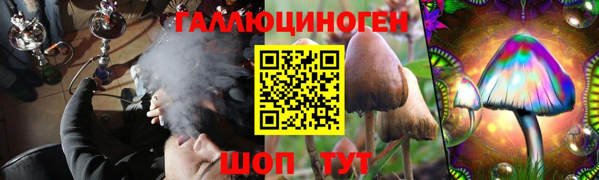 Псилоцибиновые грибы ЛСД Киреевск